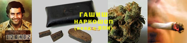 первитин Гусев
