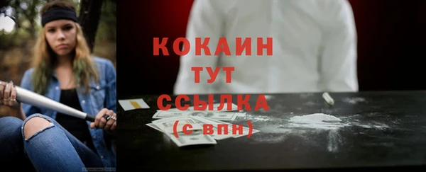первитин Гусев