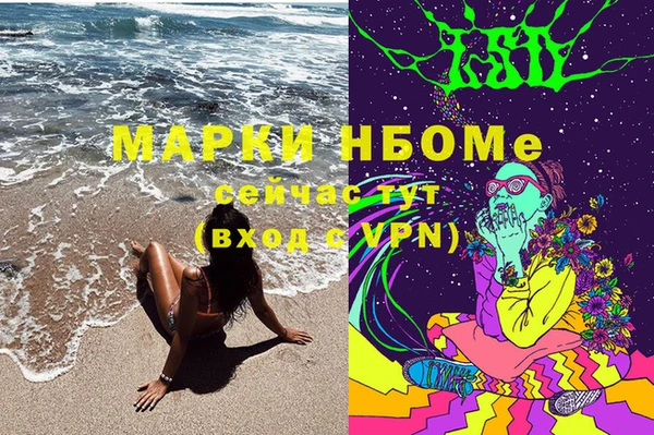 первитин Гусев