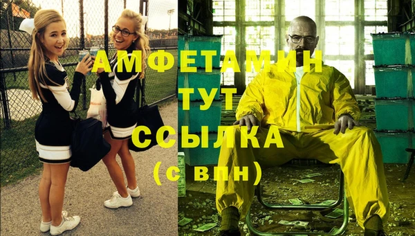 первитин Гусев