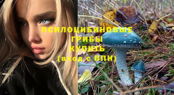 амфетамин Гусь-Хрустальный